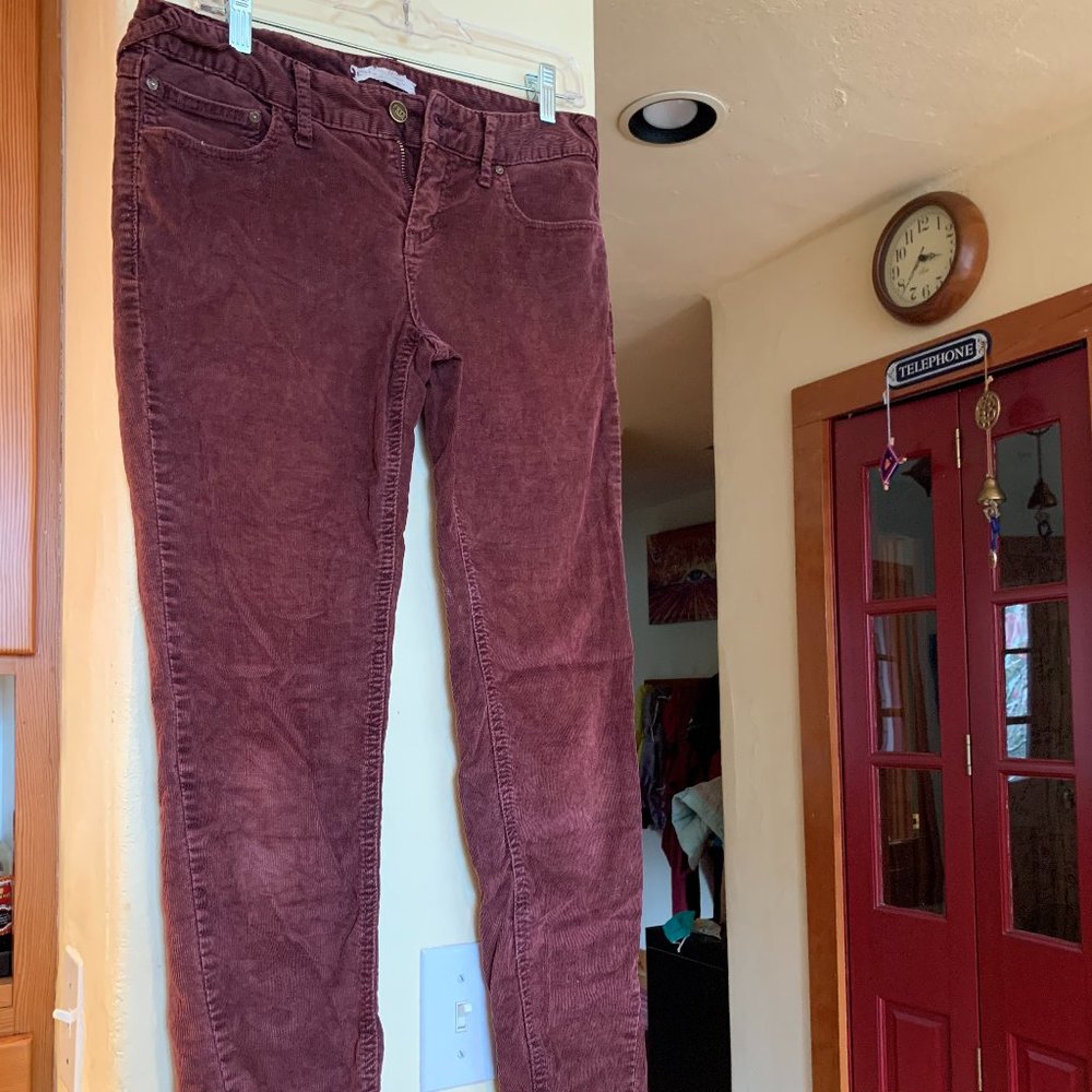 Free People Maroon Cords